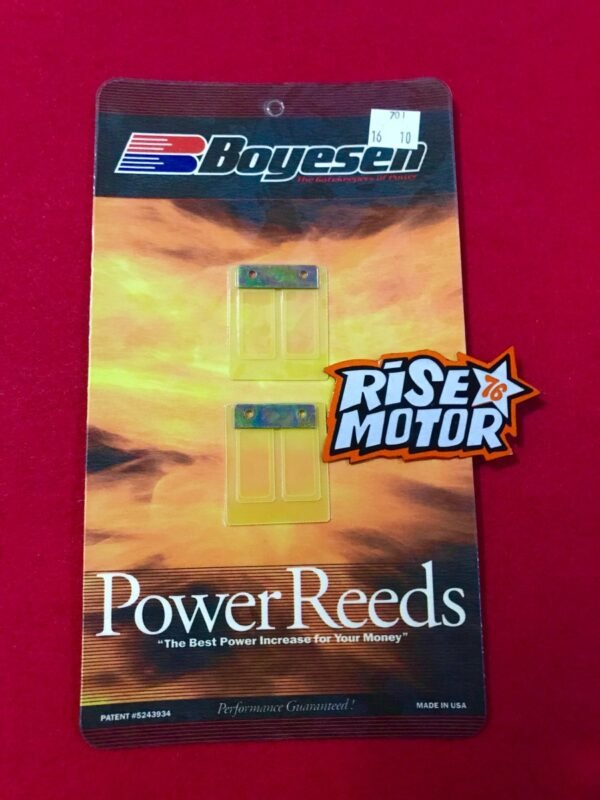 Lidah Membran RX King boyesen