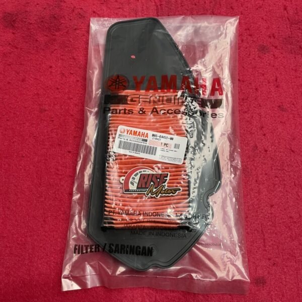 FILTER UDARA AEROX B65-E4451-00