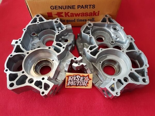 CRANKCASE NINJA ZX