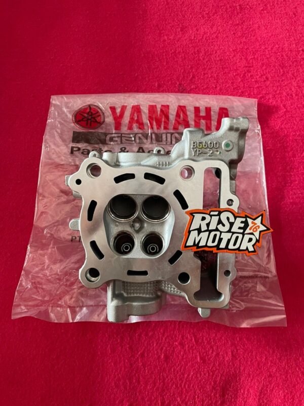 Blok Head XMAX 250